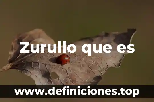 Zurullo que es